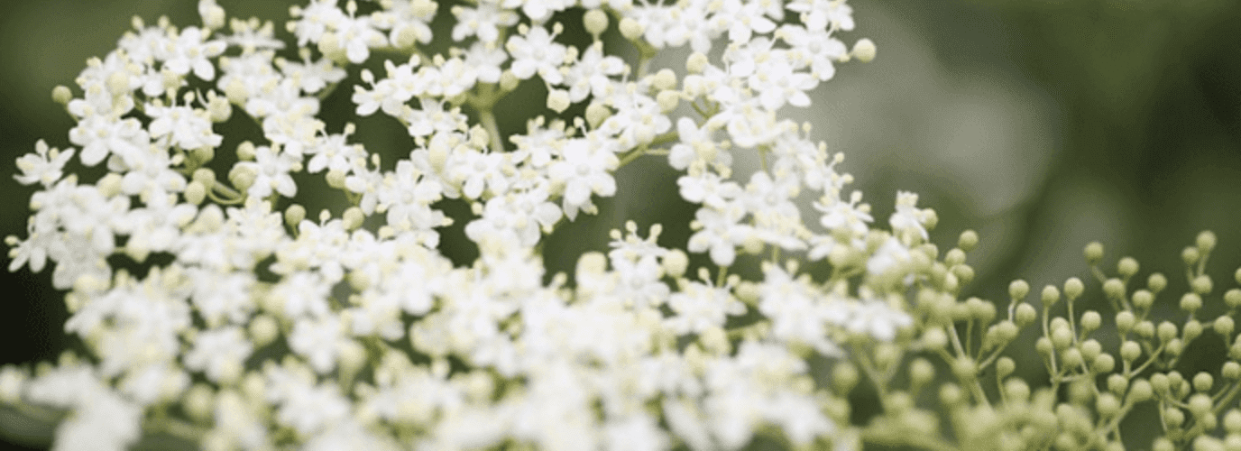 ✅"home remedies to relieve leg pain due to diabetes" - -