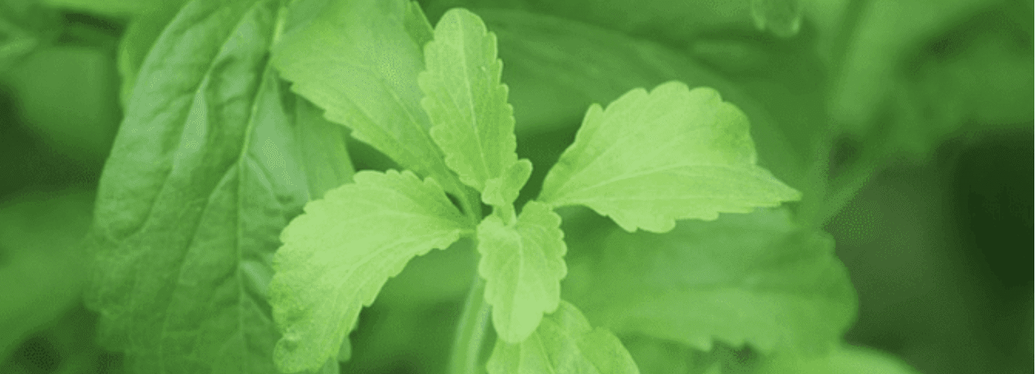 ✅ top 10 foods people with blood sugar disorders should avoid? - -