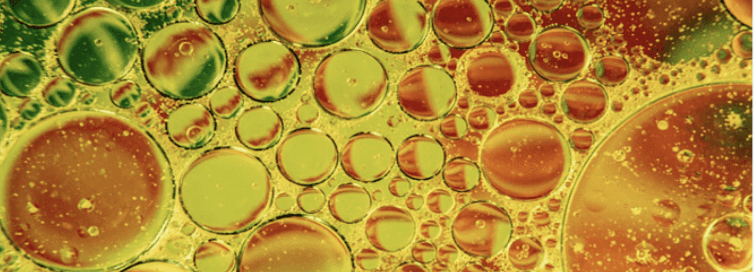 ✅ top 10 foods people with blood sugar disorders should avoid? - -